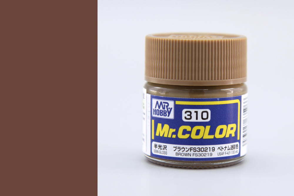 Mr. Color - FS30219 Brown - Hnědá (10ml)