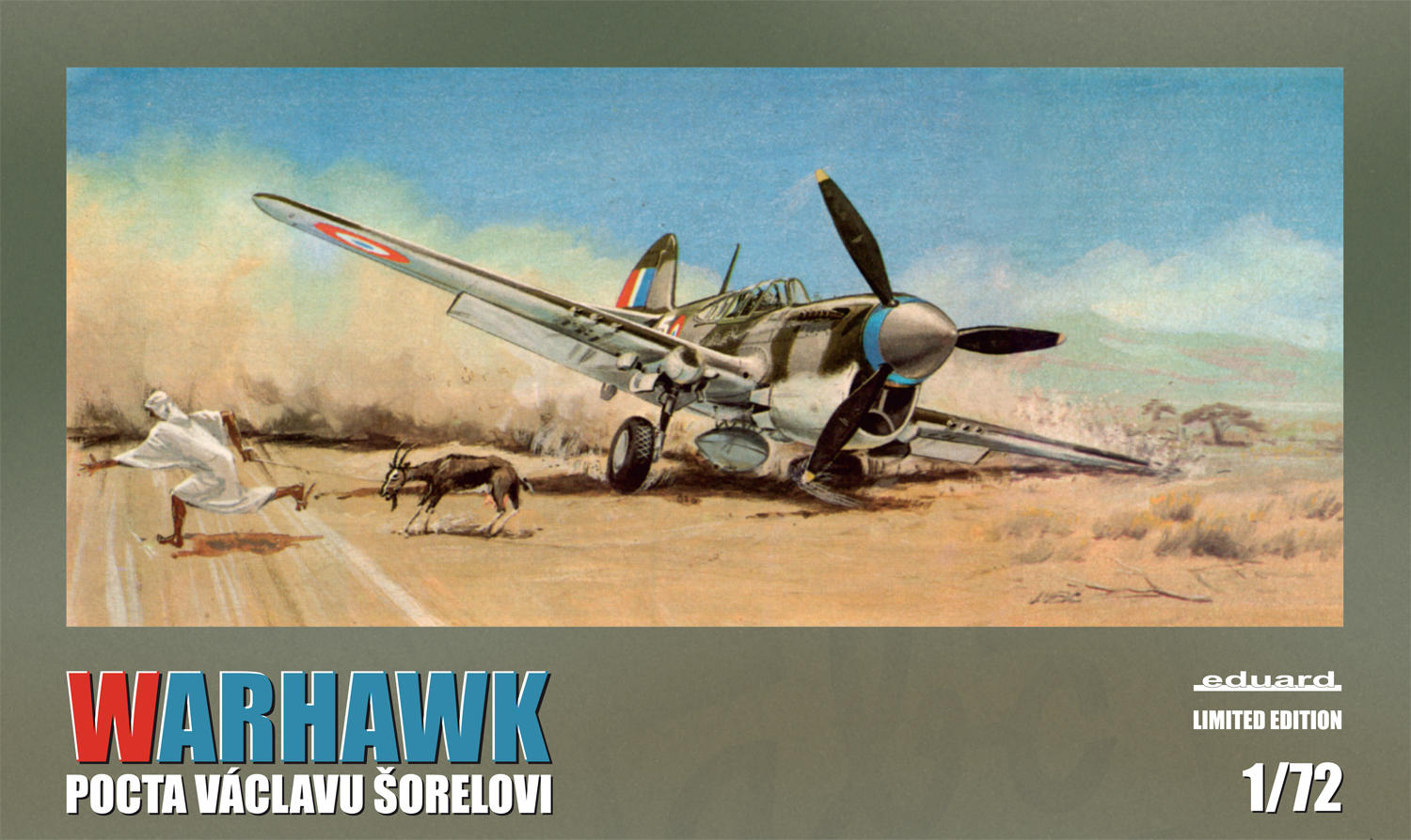 1/72 Warhawk – benefiční model - pocta Václavu Šorelovi