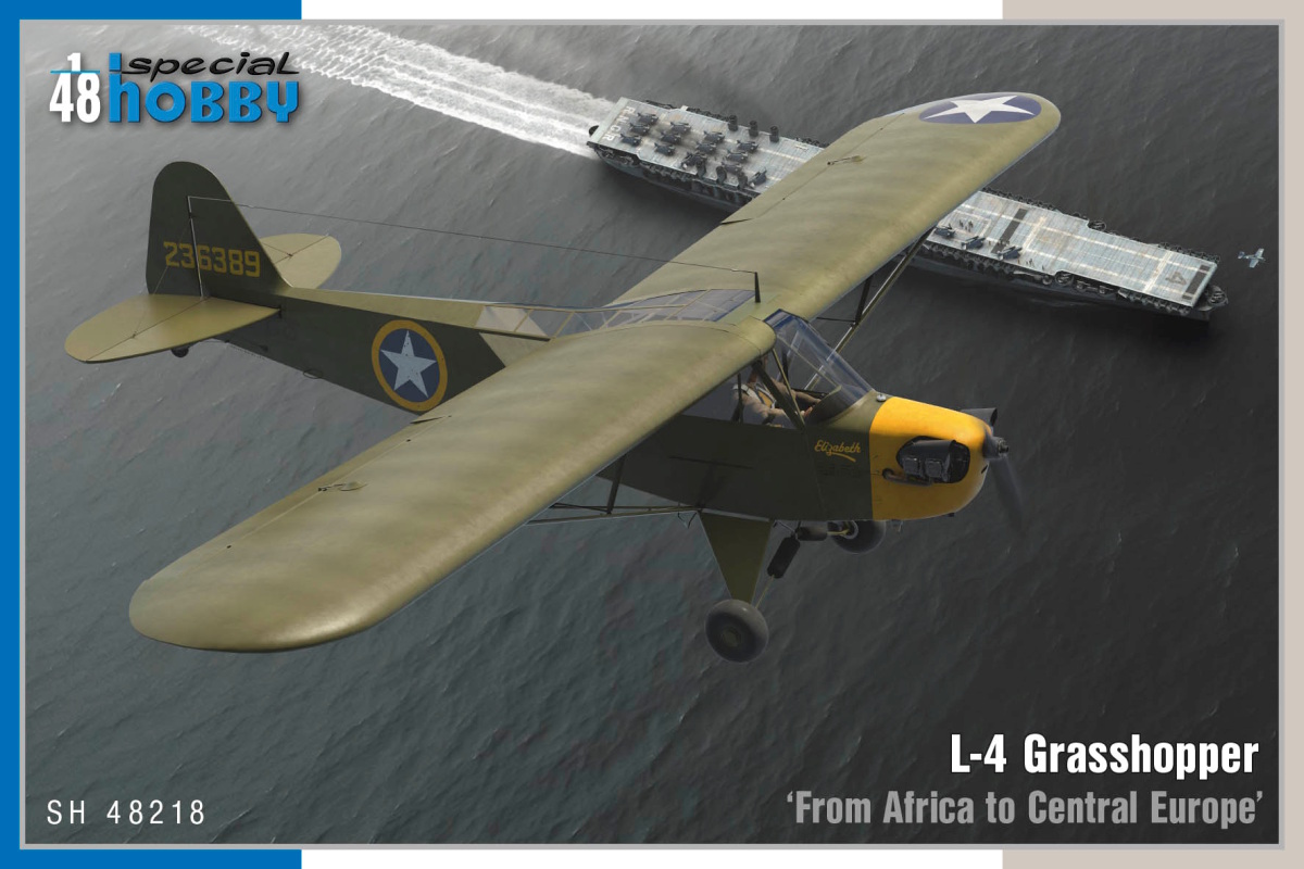 1/48 L-4 Grasshopper ‘From Africa to Central Europe’